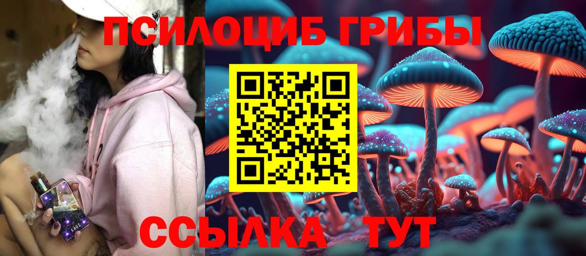 Псилоцибиновые грибы Cubensis Керчь